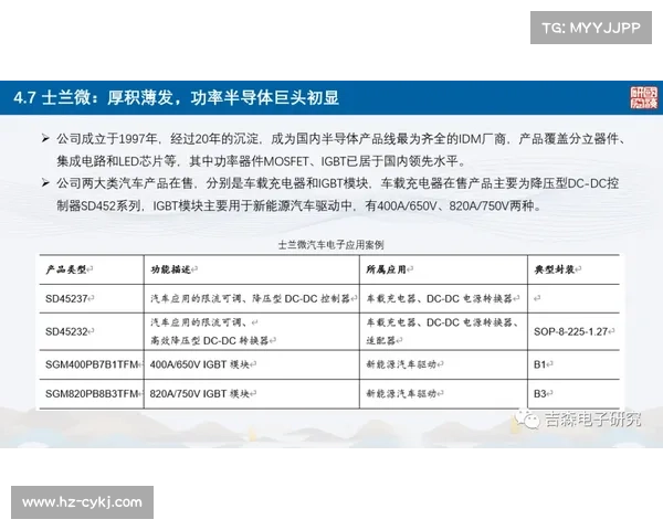 文化交流:历史进程中的全球纽带 文化交流:历史进程中的全球纽带