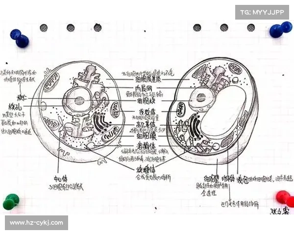冰虫鳞片结构对其适应性功能及生物学意义的探讨 冰虫鳞片结构对其适应性功能及生物学意义的探讨