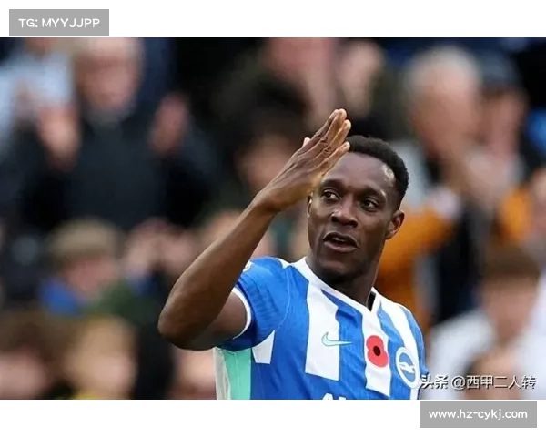 揭秘维尔贝克为何被球迷称为黑贝以及这一称号背后的深层含义